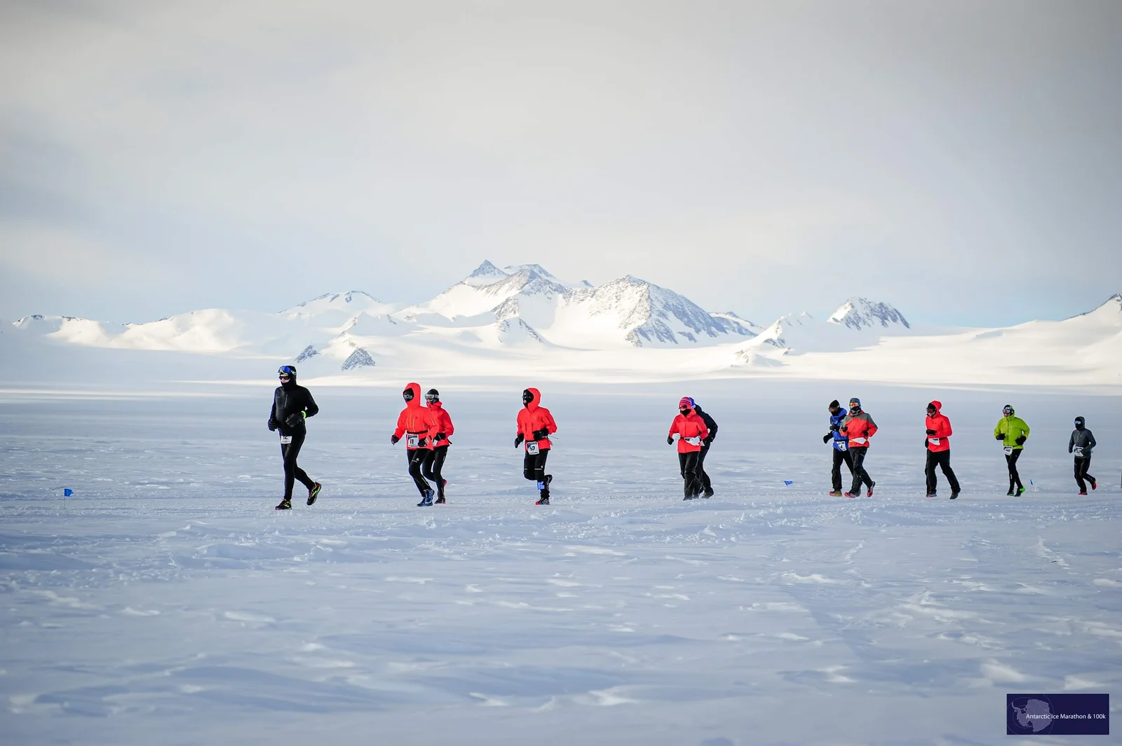 Antarctic Ice Marathon runners training on the snow